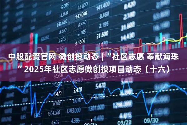 中股配资官网 微创投动态 | “社区志愿 奉献海珠”2025年社区志愿微创投项目动态（十六）